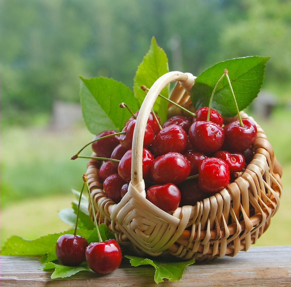Au actiune antiinflamatoare, antianemica, hemostatica si hipotensoare